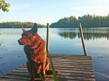Фото номера Дом для отпуска Дома для отпуска Holiday Home Kytöranta г. Hara 42