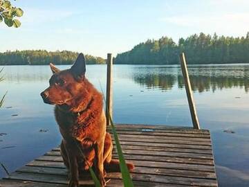 Фото номера Дом для отпуска Дома для отпуска Holiday Home Kytöranta г. Hara 15