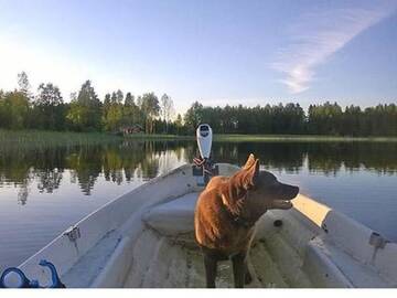Фото номера Дом для отпуска Дома для отпуска Holiday Home Talasniemi г. Hara 26