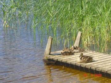 Фото номера Дом для отпуска Дома для отпуска Holiday Home Tuomaantupa г. Hara 9
